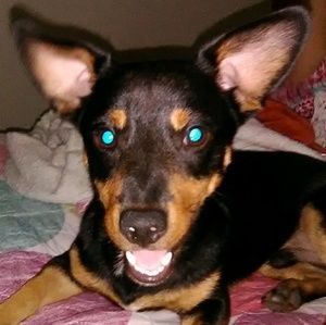 Meet your Posher, Jasmin